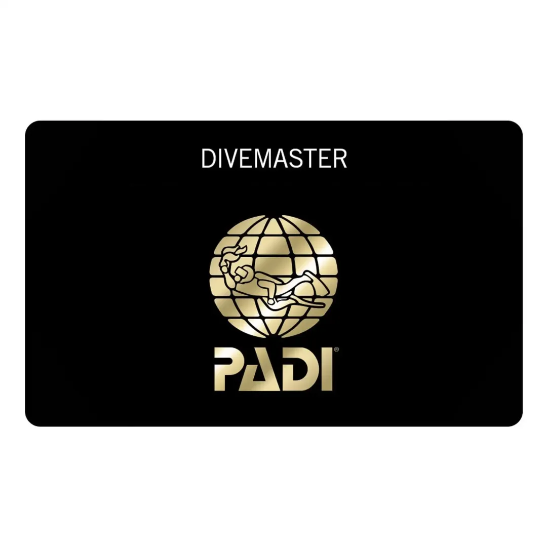 divemaster